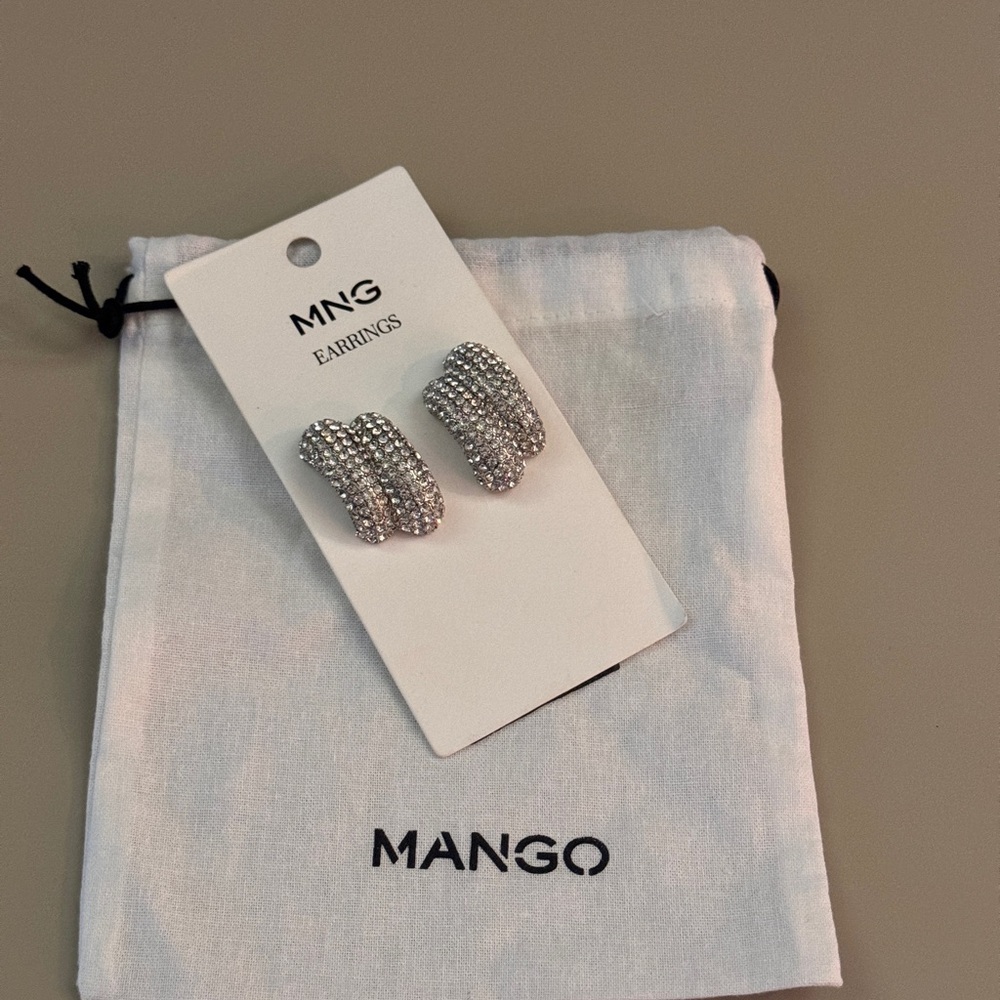 🩶Mango Crystal Earrings🩶